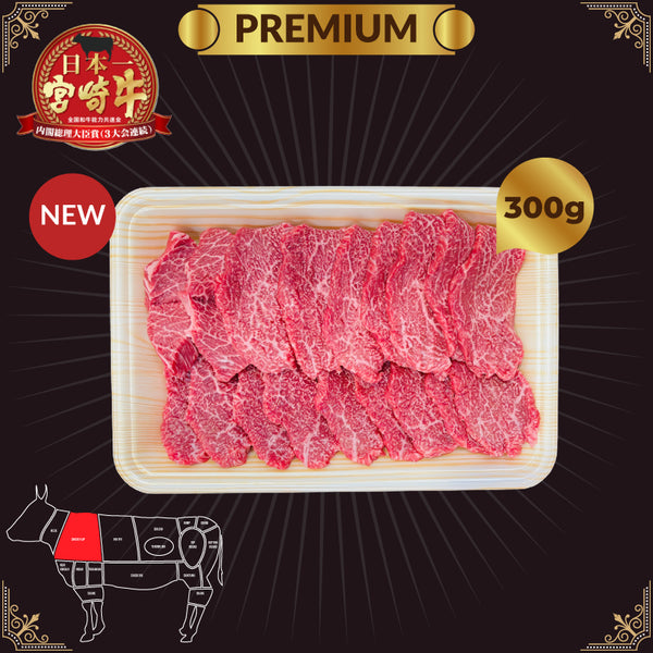 A5宮崎和肩三角 Miyazaki Clod