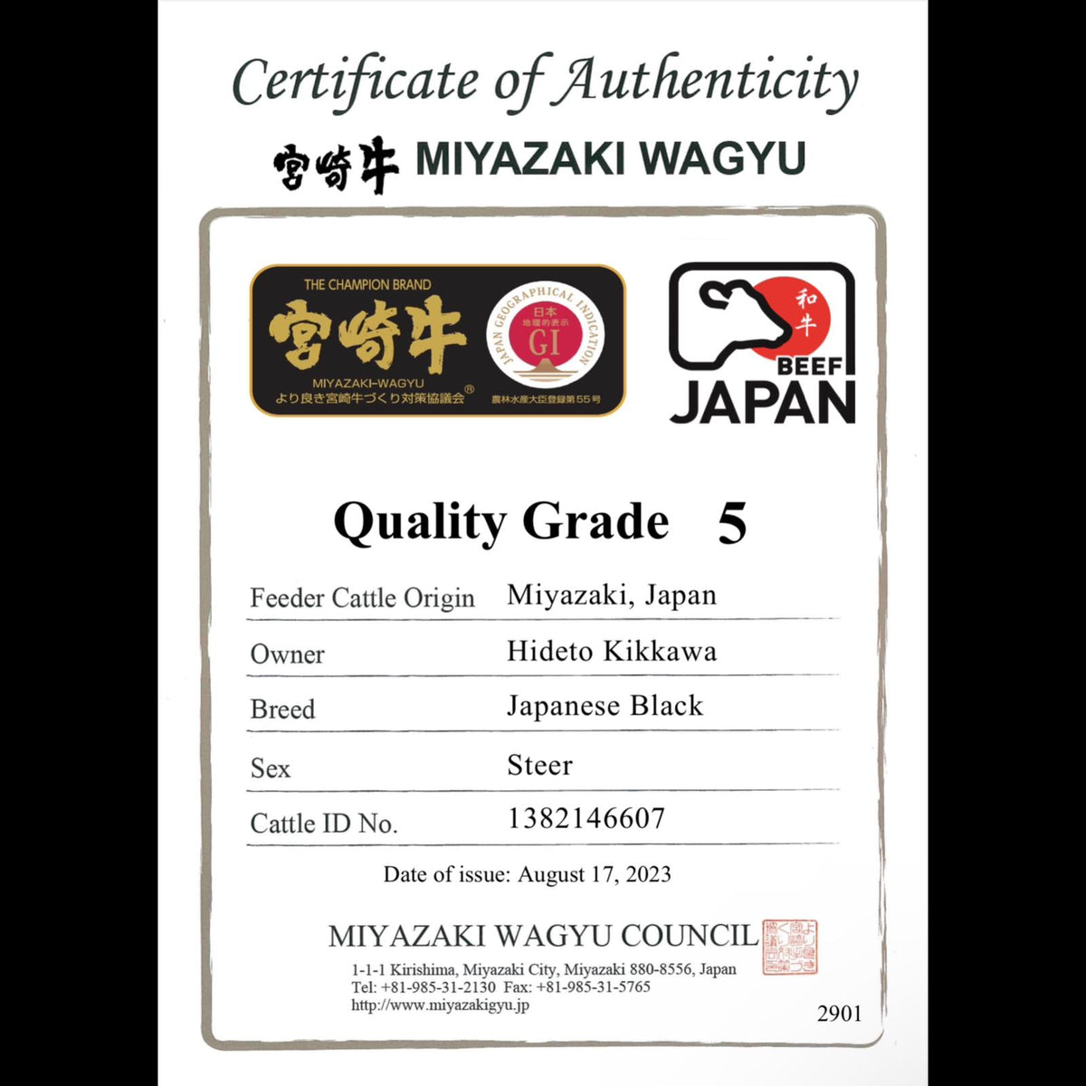 A5宮崎牛 特上肩バラ Miyazakigyu Brisket 